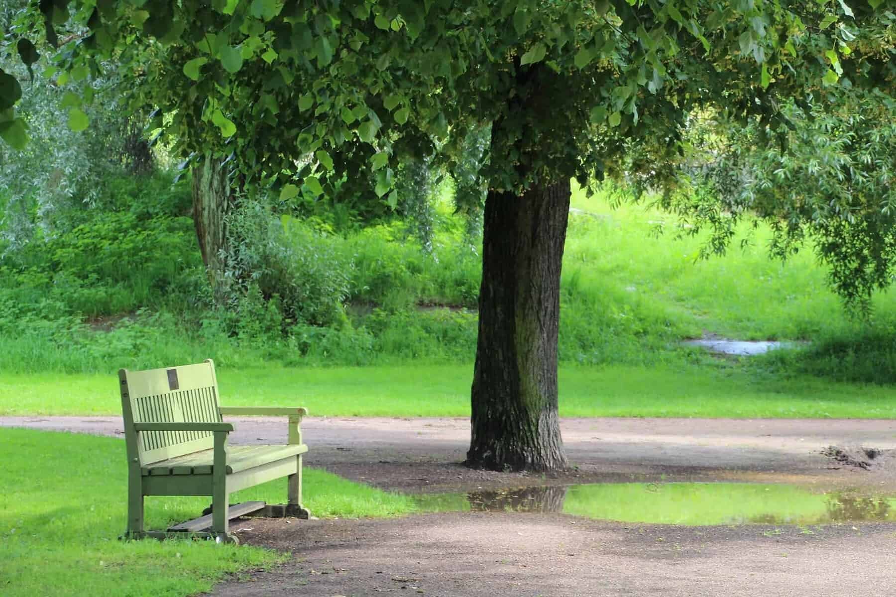 Hanki koti puiston läheltä niin voit paremmin.